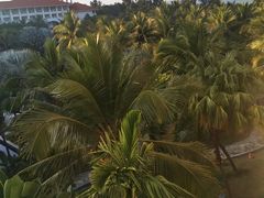 -海口喜来登酒店