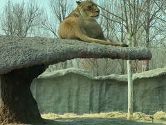 -北京野生动物园