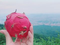 -紫金山山顶公园