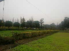 -洪湖家庭农场·团建·露营·会议