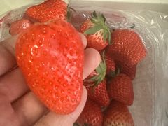 -新隆嘉超市(宝盛路店)