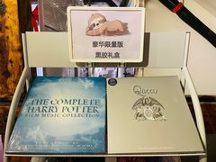 -树懒黑胶唱片店(中山路店)