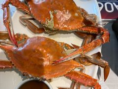 -开海·红岛海鲜虾水饺(石老人店)