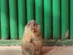 -杭州野生动物世界