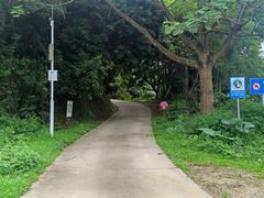 -黄埔油麻山森林公园