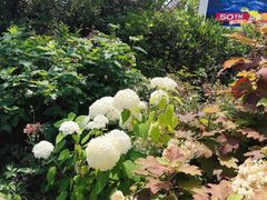 -心斋桥哈顿酒店