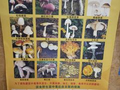 -张关合渣(航空大道店)