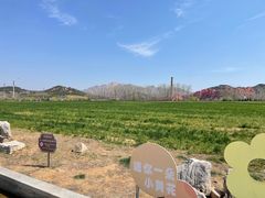 -西海岸生态观光园