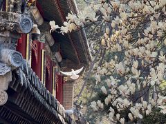 -潭柘寺景区