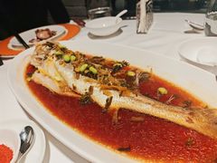 -鹿园 MOOSE(长宁店)