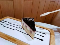 -哈根达斯(深圳海岸城店)