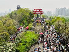 -黄鹤楼公园(黄鹤楼)