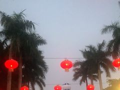 -万绿园