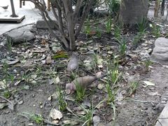 -香园自助小火锅