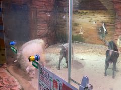-正佳雨林生态植物园