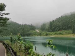 -武陵山森林公园