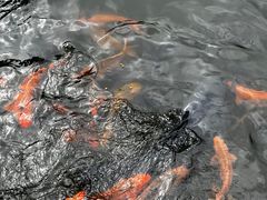 -海南热带野生动植物园