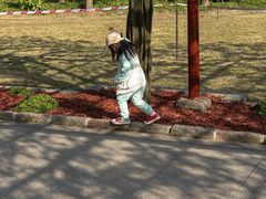 -嘉定紫藤园