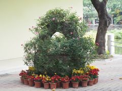 -人民公园(罗湖区)