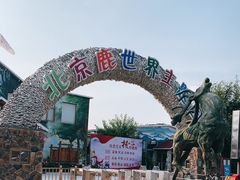 -北京鹿世界主题园