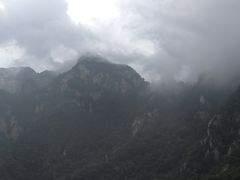 -王顺山国家森林公园