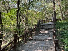 -香山公园