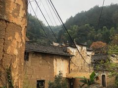 -杨家堂村