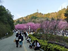 -阿哈湖国家湿地公园
