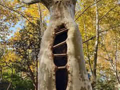 -浙江大学(玉泉校区)