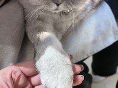 -Oasis绿洲银饰珍珠手作diy(壹方城店)