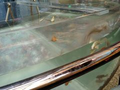 -中影国际影城(兰生大厦CINITY LED店)