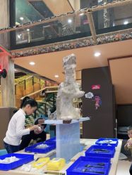 -卡通尼·Safari非洲探索乐园·生日会(金桥国际商业广场店)