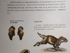 -福建博物院