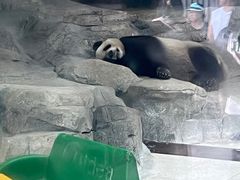 -闲隅江景艺术酒店(解放碑洪崖洞总店)