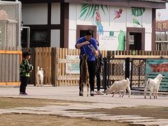 -太阳岛度假酒店