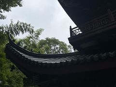 -灵隐飞来峰景区
