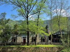 -杏花村文化旅游区