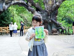 -龙湾潭国家森林公园