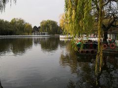 -丰台花园