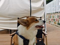 -吉雨农庄水景自助烧烤团建定制户外生日趴·钓鱼(上庄水库店)