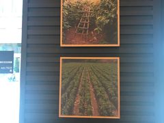 -星巴克臻选(惠州华贸天地1楼店)