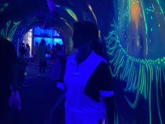 -江和美海洋公园