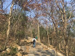 -紫金山索道-售票处