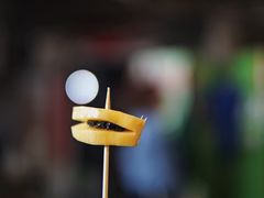 -老炳·七丛松甘草水果