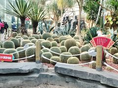 -大连森林动物园