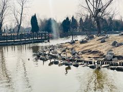 -盐城丹顶鹤湿地生态旅游区