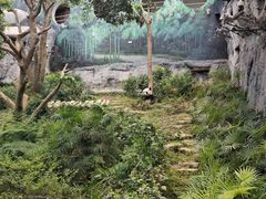 -石排湾郊野公园