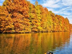 -上海海湾国家森林公园