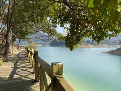 -广州市流溪河国家森林公园