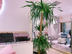 -染指坊日式美甲美睫设计中心